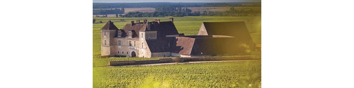 Acheter Vougeot Grand Cru & Premier Cru - Vins de Bourgogne en Ligne