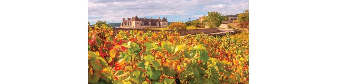 Clos de Vougeot Grand Cru - Achat en ligne sur Vinadomus.fr
