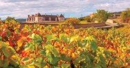 Clos de Vougeot