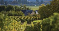 Saint-Nicolas-de-Bourgueil
