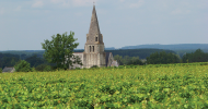Saumur-Champigny