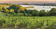 Cabernet d’Anjou