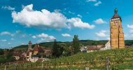 AOC Arbois
