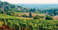 Rosé de Loire