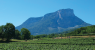 AOC Apremont