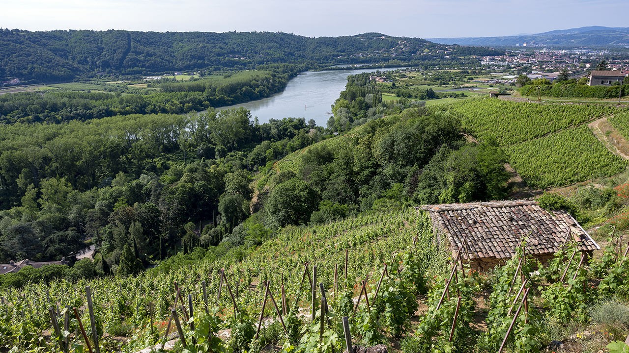 Achat de vin de la Vallée du Rhône - VINA DOMUS