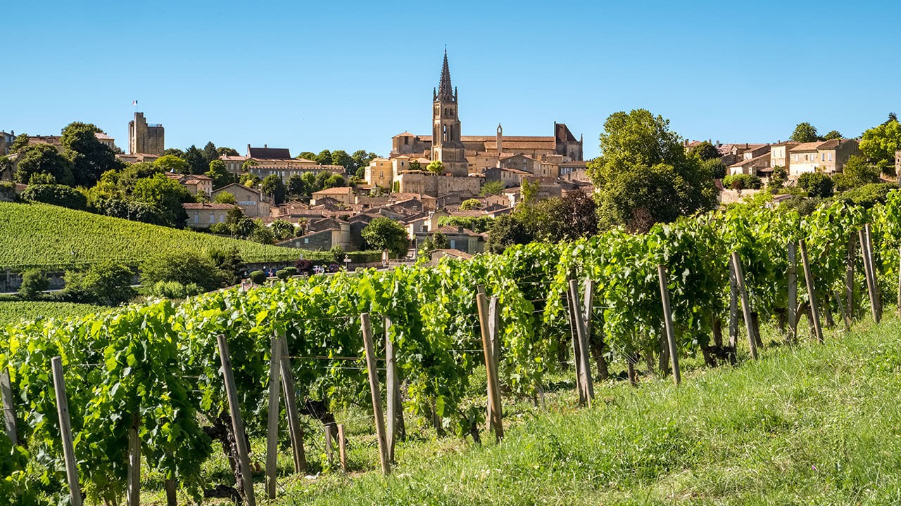 Achat de vin de Bordeaux - VINA DOMUS
