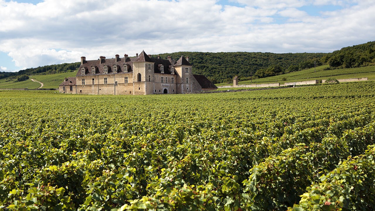 Achat de vin de Bourgogne - VINA DOMUS