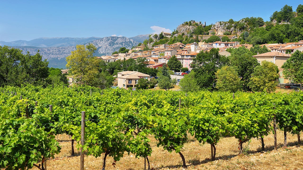 Achat de vin de Provence et de Corse - VINA DOMUS