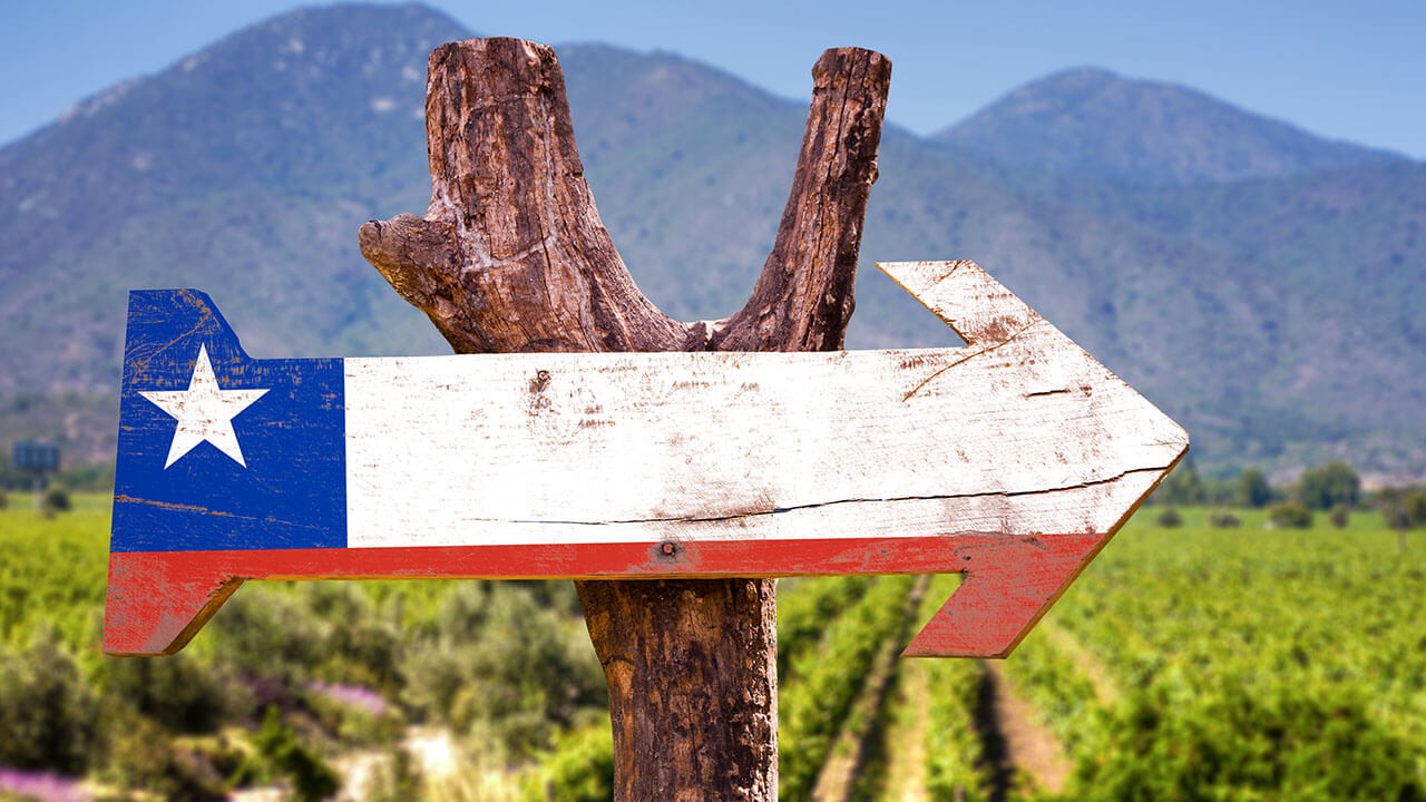 Achat de vin du Chili – VINA DOMUS