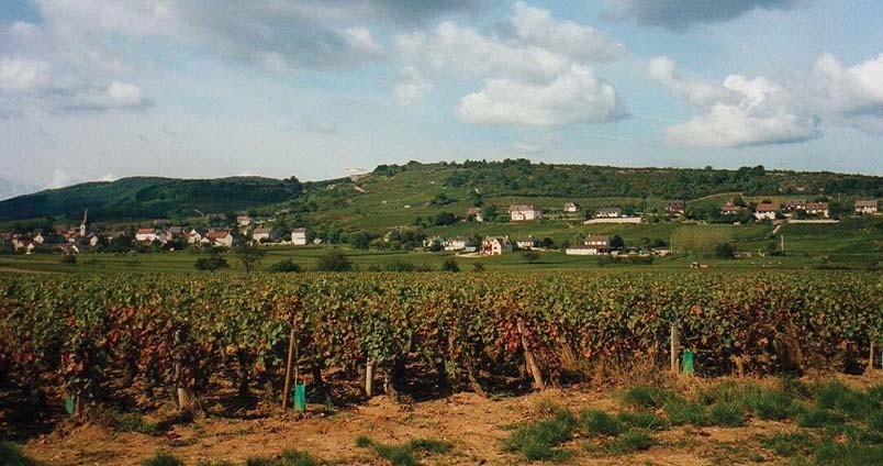 Achat Vin Côte Chalonnaise - Premiers Crus, Rouges & Blancs