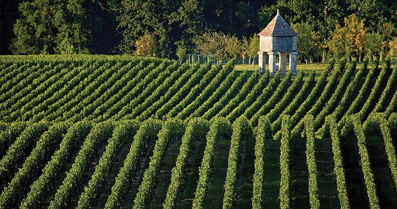 Achat vins AOC Montagne-saint-Émilion au meilleur prix !