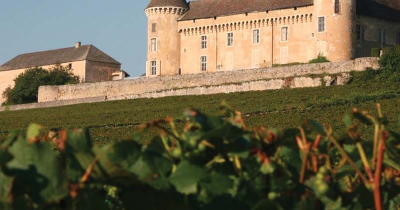 Rully Bourgogne - Sélection de Vins Blancs & Rouges sur Vinadomus