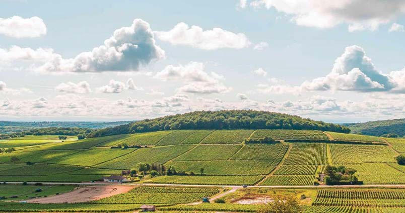 Mâcon-Azé Blanc & Rouge - Découvrez les vins du Mâconnais sur Vinadomus