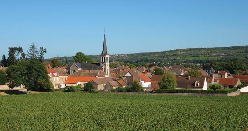 Achat Vin Santenay | Rouge & Blanc | Vins de Bourgogne - Vinadomus.fr