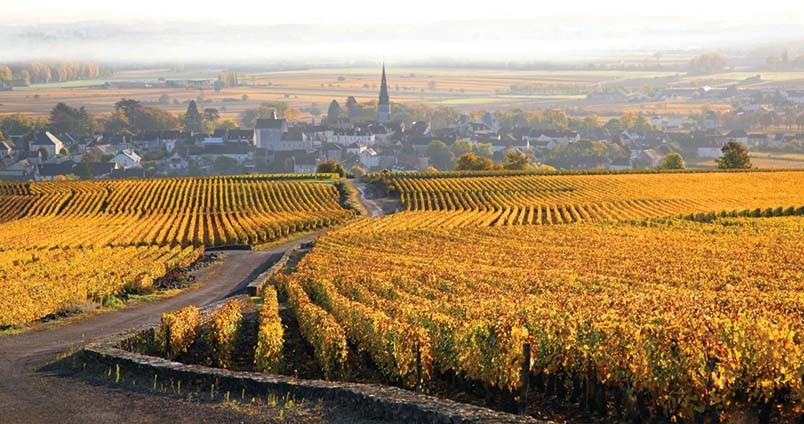 Achat Vin Beaune | Grands Crus & Premiers Crus | Vins de Bourgogne - Vinadomus.fr