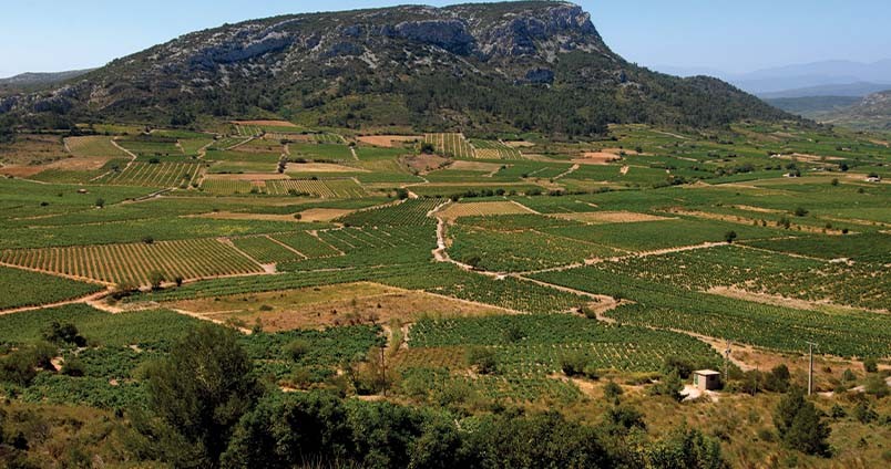 AOC Côtes du Roussillon