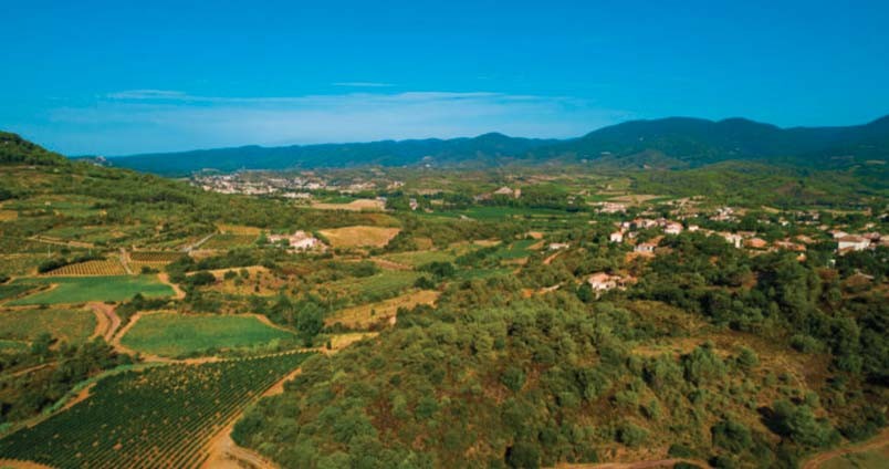 AOC Saint-Chinian – Découvrez les vins rouges, blancs et rosés du Languedoc