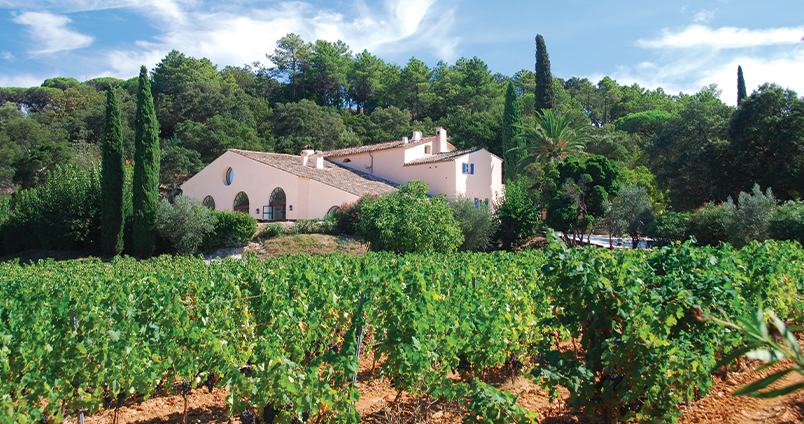Côtes de Provence – Rosés de référence et grands vins du Sud à acheter en ligne | Vina Domus
