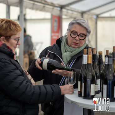 Retour sur la Foire aux Vins de Vina Domus