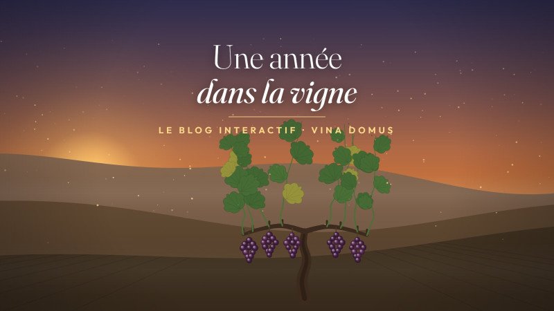 Une année dans la vigne — L'expérience interactive